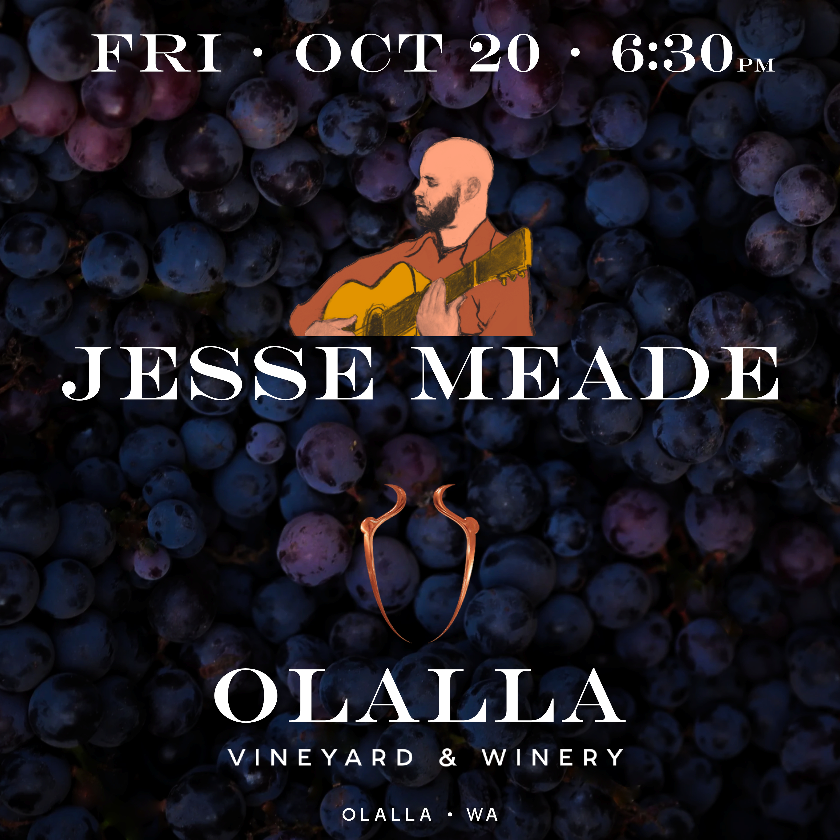 Product Image for 10-20-23 Jesse Meade in the Loft on Friday, October 20th from 6:30-8:30pm